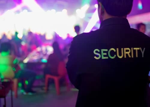 A security officer watching over a crowd at a night event